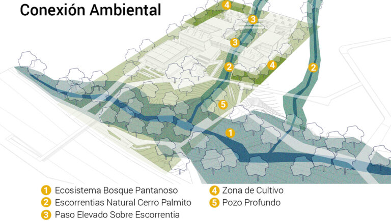 Fecha: 2024 /  En colaboración con:  Carlos Vanegas Y Jhon Angel/  Localización:  Córdoba, Colombia /   Resultado: Participación