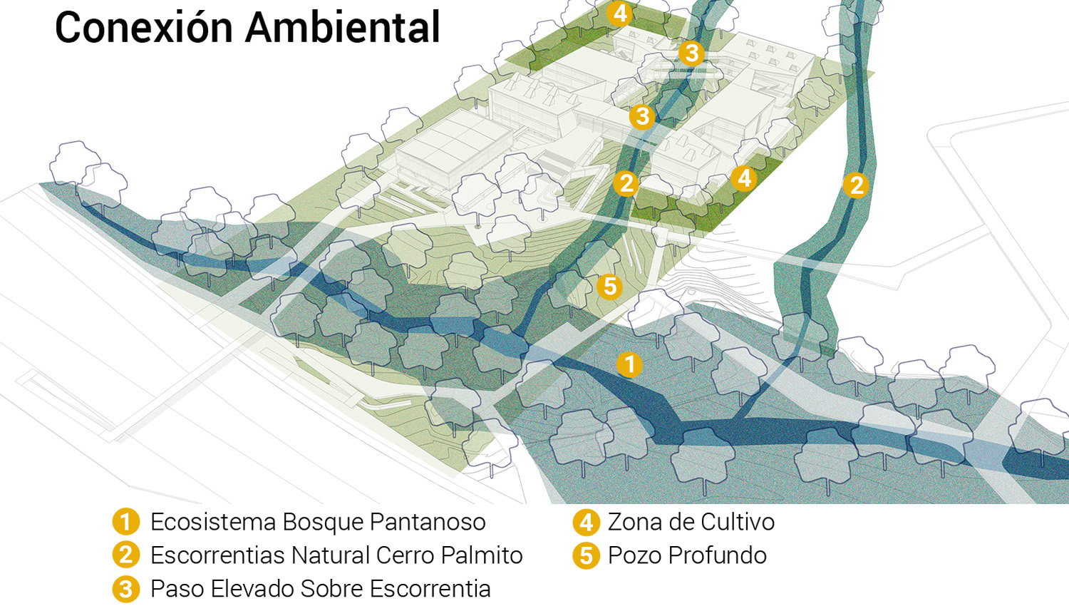 esquema - conexion ambiental