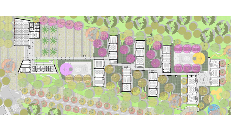 malambo-planta-1