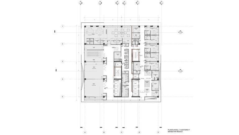 santafe_planta_7